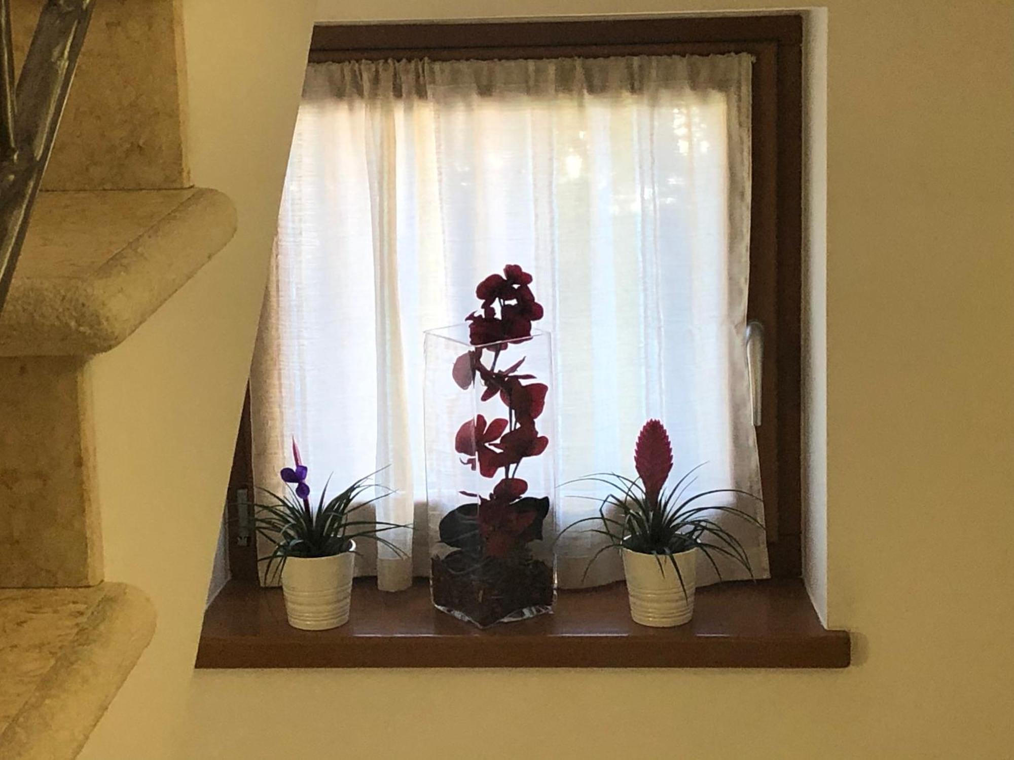 Dad Home Cles Kültér fotó